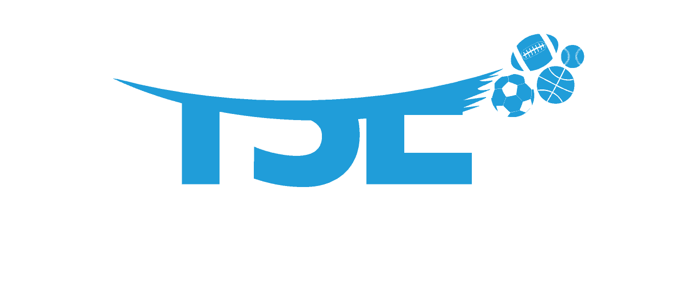 The Sports Economist logo