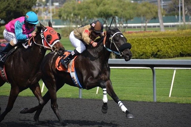 The Only 3 Ways to Win at Sports Betting 2 horseracing 5061006 640