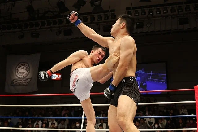 The Roaring Success Story of the UFC 3 mixed martial arts 1314503 640