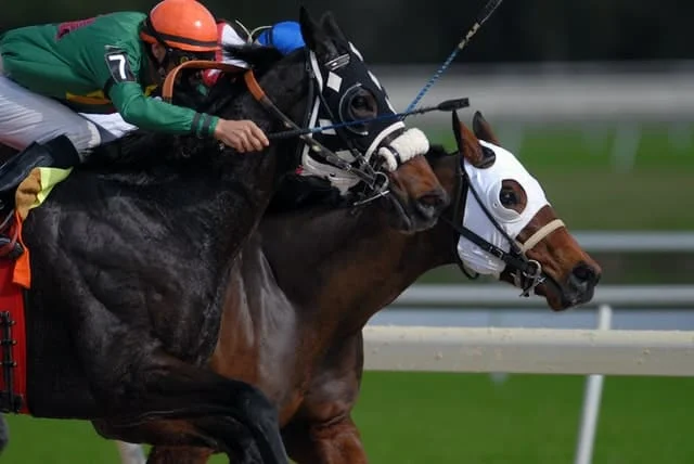 Should you bet on the horse or the jockey, or a combination of both? 3 jeff griffith PaIDqj8otls unsplash