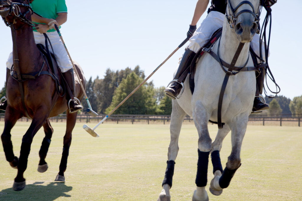 Adult Men Playing Polo
