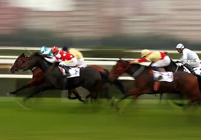 Melbourne’s Top Thoroughbred Races 3 horse 1911382 640