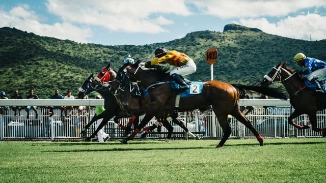 Charlie Appleby's Best Moments from a Fantastic Flat Racing Season 3 julia joppien IojCPQ2rWe8 unsplash