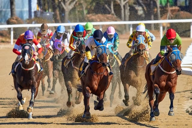 A Few Tips for Preparing Your Horse for Race Day