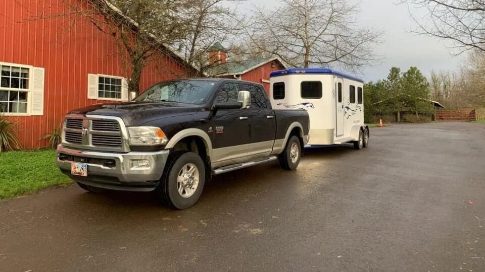 10 Best Horse Trailers For Racing Horses
