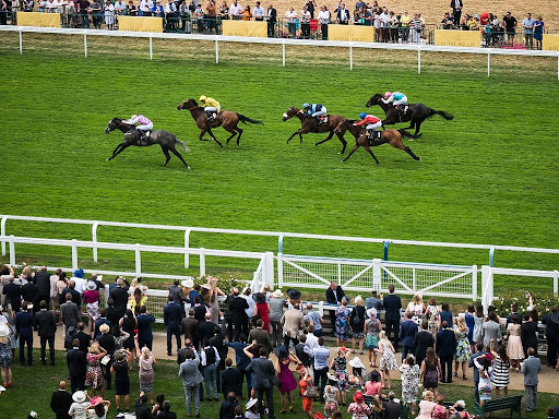 The Psychology of Betting on Horse Races: What Drives Your Decisions? 1 Psychology of Betting on Horse Races