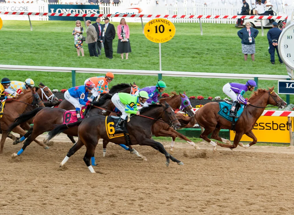 Understanding the Betting Market in Horse Racing: Trends and Insights 5 2014 Preakness Stakes start