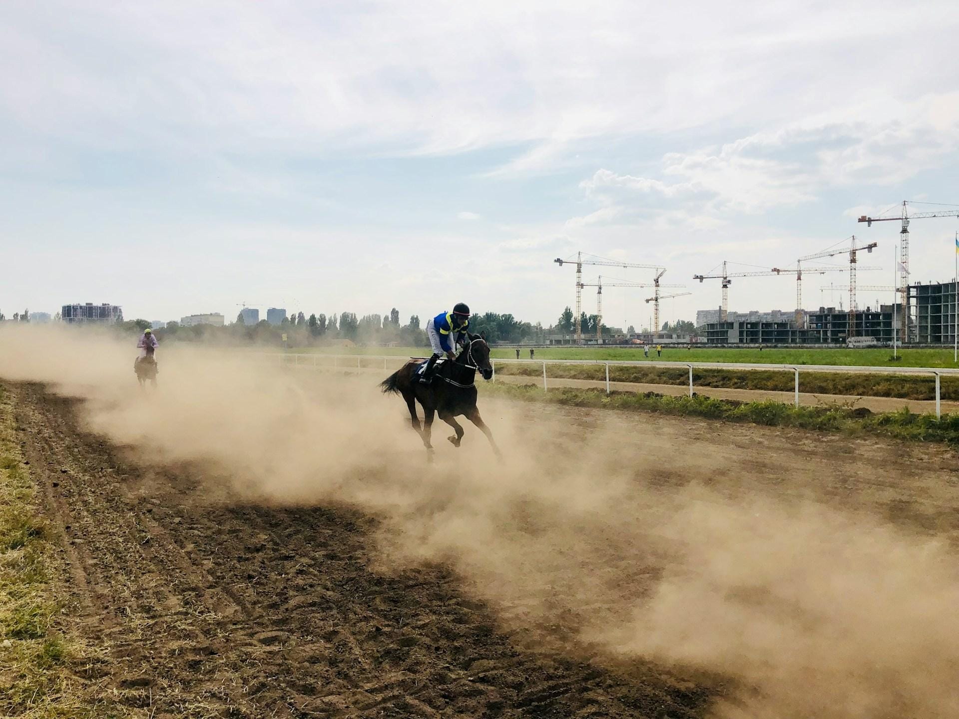 Understanding the Betting Market in Horse Racing: Trends and Insights 1 Market in Horse Racing