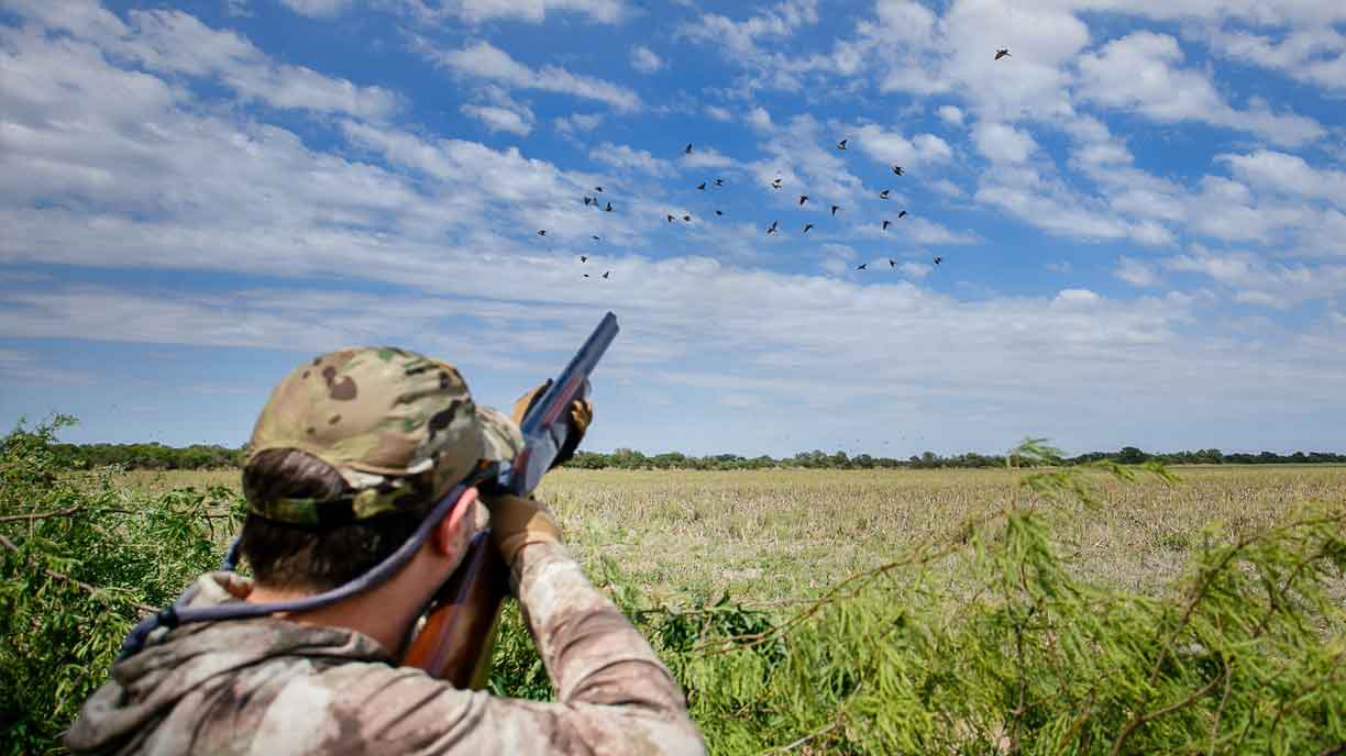 Top 5 Bucket List Hunts Every Bird Hunter Should Try 1 Bird Hunter