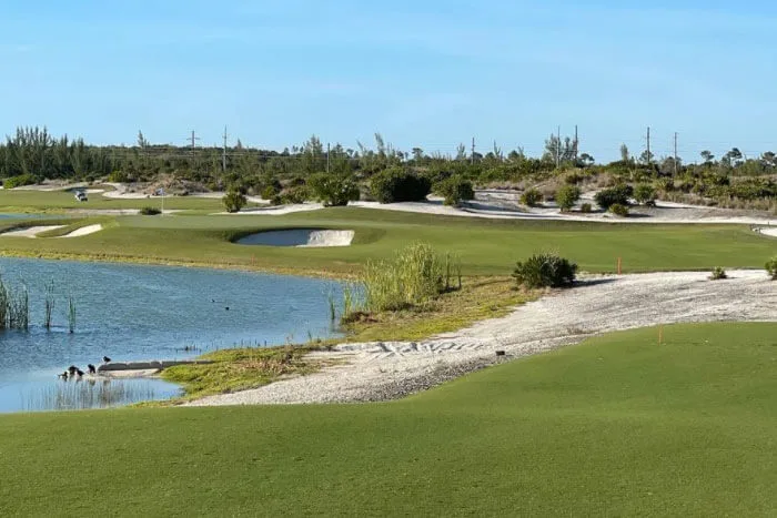Fantasy Golf Picks Odds and Predictions 2021 Hero World Challenge