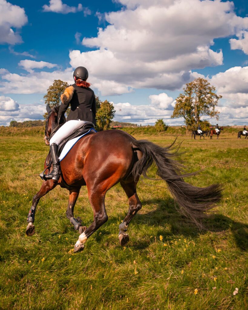 Pexels Bartosz Bartkowiak 2071510 3723115