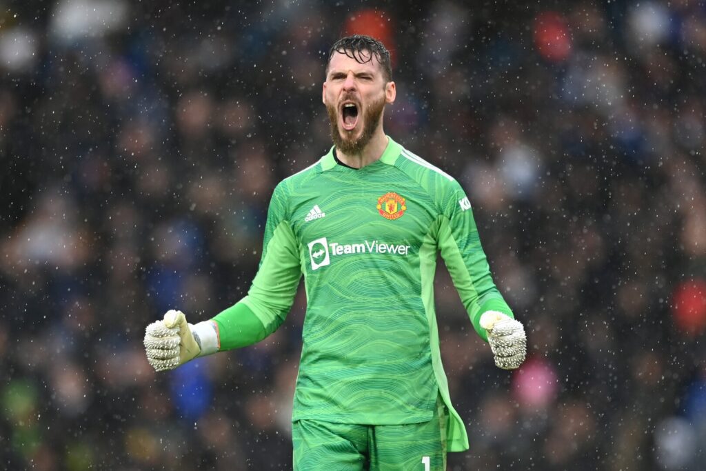 David de Gea Manchester United