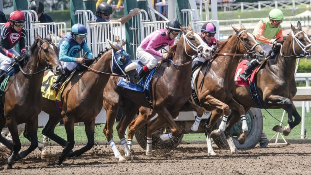 The Grand National 2025 Tickets, Details, And Ladies Day