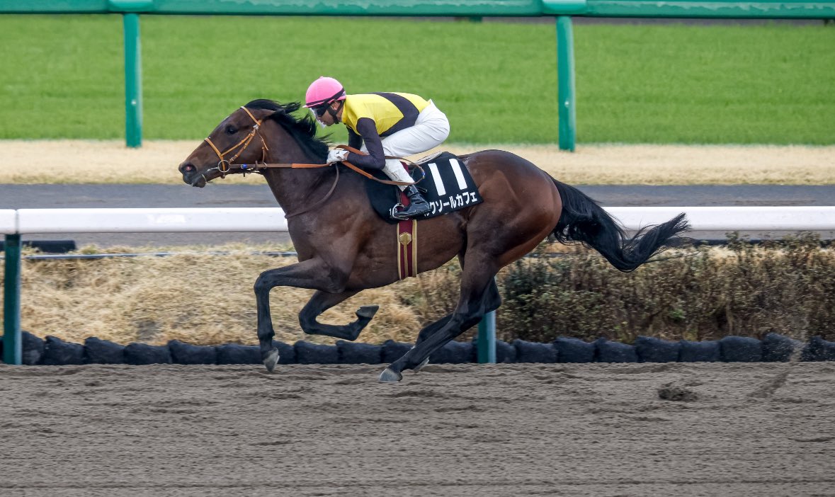 A Japanese Winner of the Kentucky Derby? It’s Coming 1 Winner of the Kentucky Derby