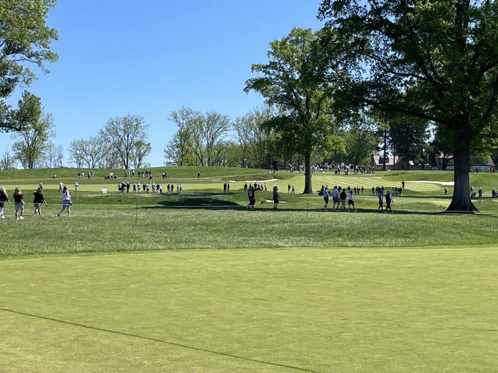 2025’s Most Forgiving Irons for Beginners That Shave Strokes 12 IMG 2727