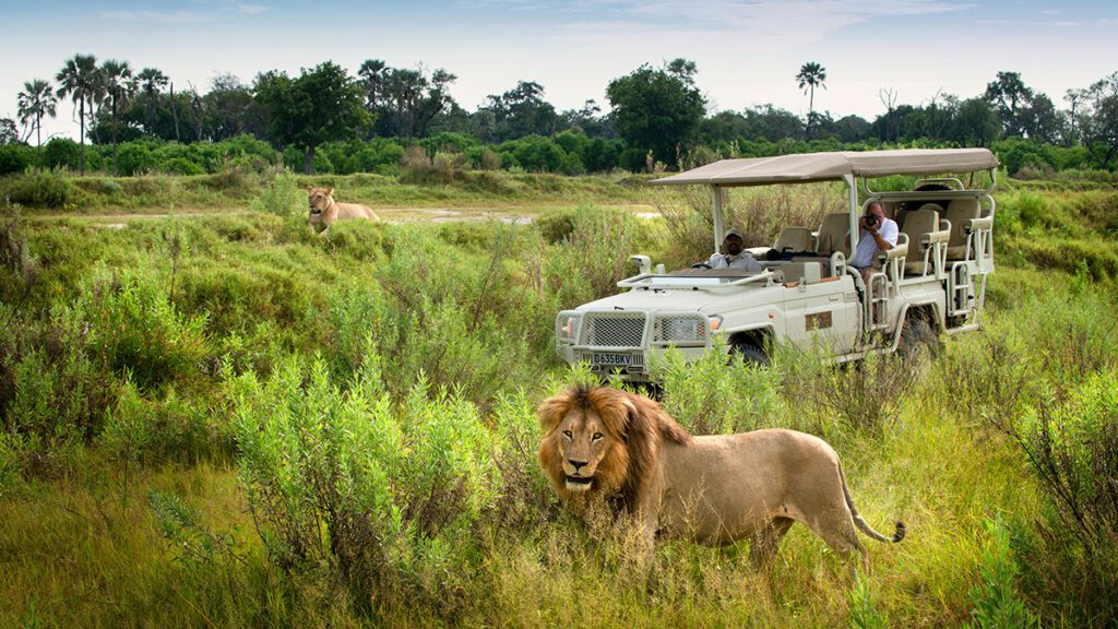 Hunting Safari vs Photo Safari: Which Drives More Revenue in African Wildlife Tourism? 5 AfricanTravel hero