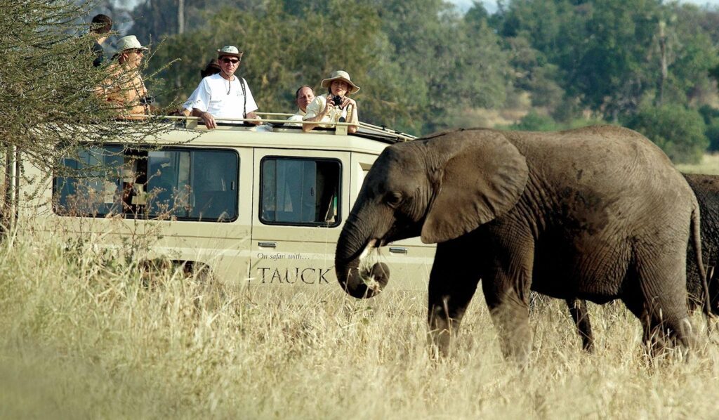Hunting Safari vs Photo Safari: Which Drives More Revenue in African Wildlife Tourism? 2 Collection Safari banner
